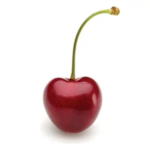 Cherry Đỏ Mỹ - US Cherries - Size 9 - GOLD PRIZE