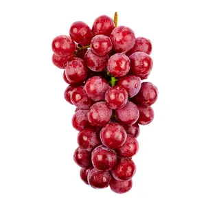 Nho Đỏ Kẹo Mỹ - Candy Snaps - Seedless Red Table Grapes (0.45kg) - PANDOL