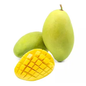 Xoài Cát Chính Gốc Hòa Lộc Canh Tác Hữu Cơ - Organically Grown Hoa Loc Mango - 3 AN