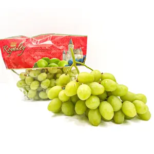 Nho Xanh Không Hạt Mỹ - Green Envy - Green Seedless Grapes - ROYALTY