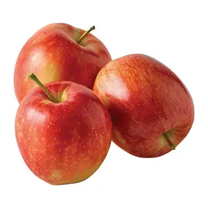 Táo Đỏ Mỹ - Gala - US Red Apple - Size 113 - RAINIER