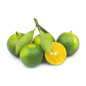 Tắc - Kumquat / Calamansi Lime - THE FARM HOUSE
