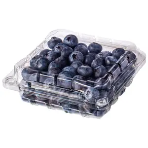 Việt Quất New Zealand - Premium New Zealand Blueberries (125g) - BLUE PEARL