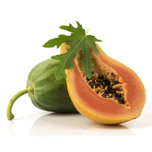 Đu Đủ Giống Đài Loan - Taiwanese Papaya - MEKO STAR