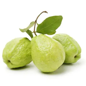 Ổi Giống Đài Loan - Taiwanese Guava - MEKO STAR