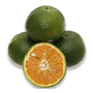 Cam Sành Loại 1 - Vietnamese King Orange - MEKO STAR