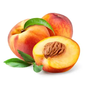Đào Úc - Australian Candy Princess Yellow Peach - GOLDEN DRAGON