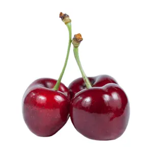 Cherry Đỏ Chile Size Lớn - Chilean Premium Cherries - SUBSOLE