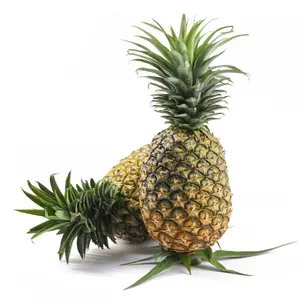Khóm Cần Thơ - Whole Pineapple - OCOP
