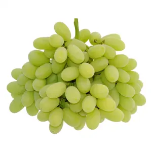 Nho Xanh Không Hạt Úc - Hellooo - Sugar Crisp Green Seedless Grapes - GRAPE CO AUSTRALIA
