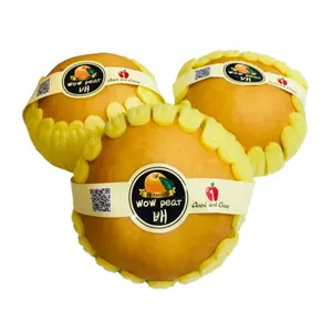 Lê Nâu Giống Hàn Quốc - Premium Wow Pear - N1F