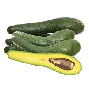 Bơ 034 - Bio 034 Avocado - KATA FARM HUB