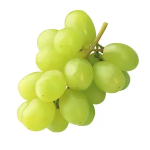 Nho Xanh Không Hạt Mỹ - Sweet Globe - California Green Seedless Grapes - PANDOL