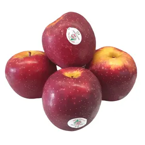 Táo Đỏ New Zealand - Pacific Queen - New Zealand Red Apple - Size 80 - ENZA