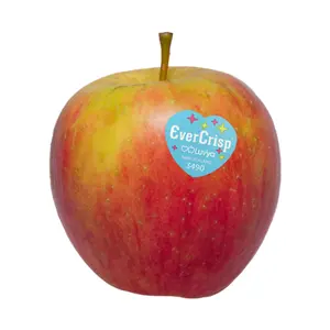 Táo Đỏ New Zealand - EverCrisp - New Zealand Red Apple - Size 110 - LUV'YA