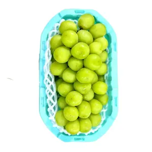 Nho Mẫu Đơn Trung Quốc - Muscat Grapes (900g) - SUNSHINE ROSE