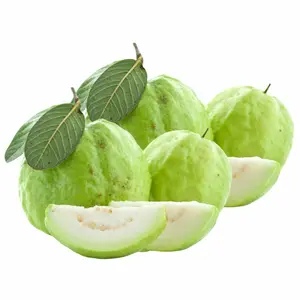 Ổi Giống Đài Loan - Taiwanese Guava - OCOP