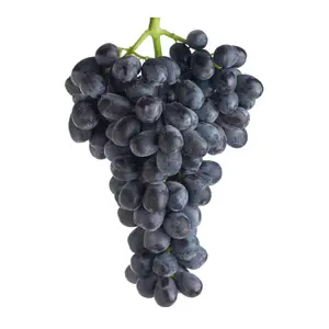Nho Đen Không Hạt Úc - Hellooo - Midnight Beauty Black Seedless Grapes - GRAPE CO AUSTRALIA