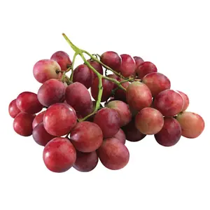 Nho Đỏ Chile - Red Globe - Chilean Red Table Grapes - CAMPONOVO