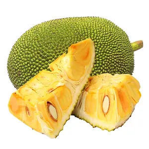 Mít Thái Xẻ Miếng - Thai Jackfruit - OCOP
