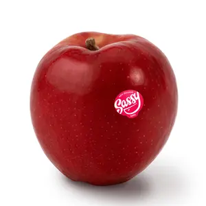 Táo Đỏ New Zealand - Sassy - New Zealand Red Apple - Size 90 - GOLDEN BAY FRUIT