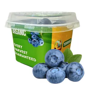 Việt Quất Mỹ Hữu Cơ - Organic Blueberries (55g) - TERRISA