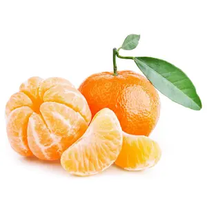 Quýt Úc - Nova - Premium Australian Mandarin - IRONBARK CITRUS