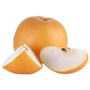 Lê Trung Quốc - Singo - Chinese Fresh Pear - ANALEE