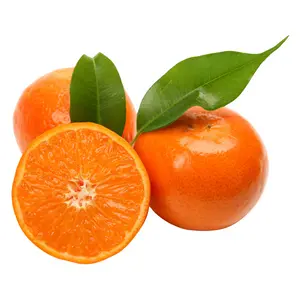 Quýt Mật Úc - Royal Honey Murcott - Premium Australian Mandarin - HANSEN TASMANIA