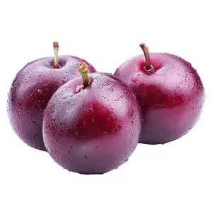 Mận Đỏ - Red Honey Plum - PNF