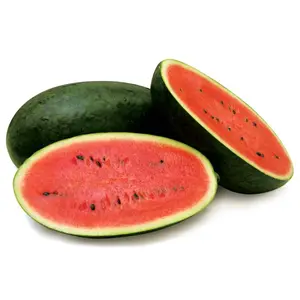 Dưa Hấu Rằn - Watermelon - THE FARM HOUSE
