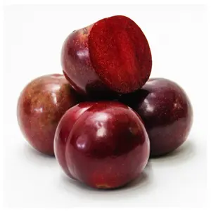 Mận Đỏ Úc - Festival Red - Australian Plum - V.F. SICILIANO & SONS