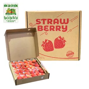 Dâu Tây Giống Nhật - Japanese Strawberry - Size 36 - NONG SAN CHI HUONG