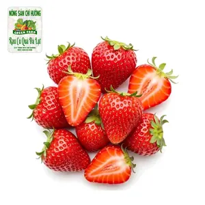 Dâu Tây Giống Nhật - Japanese Strawberry - Size 49 - NONG SAN CHI HUONG