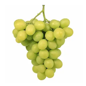 Nho Xanh Không Hạt Úc - AutumnCrisp - Australian Green Seedless Grapes - PEGASUS VINEYARDS