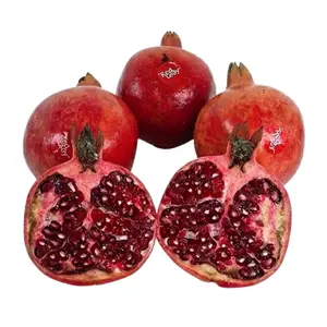 Lựu Ấn Độ Loại 1 - Indian Pomegranate - RED LADY