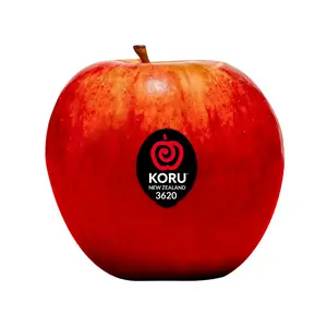 Táo Đỏ New Zealand - Plumac - New Zealand Red Apple - KORU