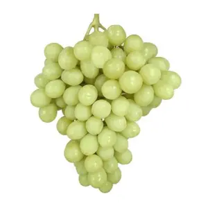 Nho Xanh Không Hạt Mỹ - Sugraone - Green Seedless Grapes - SUN DIAMONDS