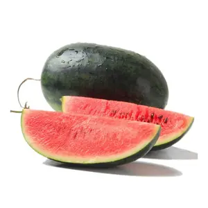 Dưa Hấu Hắc Mỹ Nhân - Black Beauty Watermelon - KHAI NGUYEN
