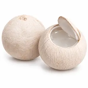 Dừa Xiêm Xanh Bến Tre - Fresh Coconut (500 - 800g) - VINA T&T GROUP