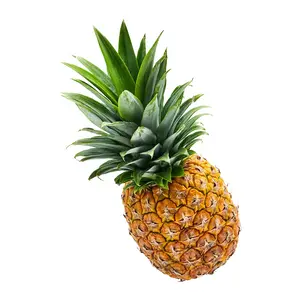 Dứa Mật MD2 Nguyên Vỏ - Whole Honey Pineapple - KHAI NGUYEN