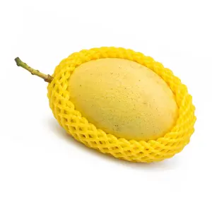 Xoài Cát Chu Vàng - Yellow Cat Chu Mango - KHAI NGUYEN