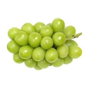 Nho Mẫu Đơn Giống Nhật - Japanese Variety Shine Muscat Grape (800g) - SUNSHINE ROSE