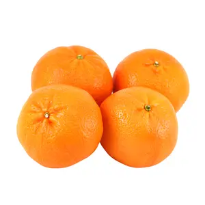 Quýt Mật Úc - Blooroo Honey Murcott - Australian Mandarin - COMPOSITE