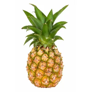 Dứa Nữ Hoàng - Queen Pineapple Whole - KHAI NGUYEN