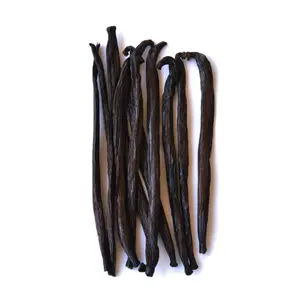 Cọng Vanilla, Vanilla Beans (10g) - BEST VANILLA