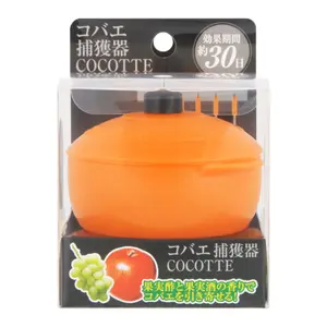 Sáp Bắt Côn Trùng, Kobae Tori, Fly Trap - COCOTTE