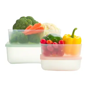 Bộ 4 Hộp Thực Phẩm Trữ Đông, Hokkaido Freezer Container (290ml, 900ml, 2500ml, 3600ml) - INOCHI