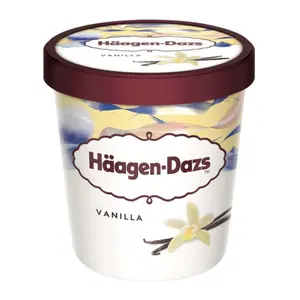 Kem Vani, Vanilla Ice Cream (473ml) - HAAGEN-DAZS