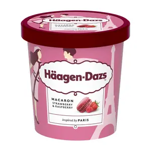 Kem Macaron Dâu & Mâm Xôi, X Pierre Hermé Paris, Macaron Strawberry & Raspberry (420ml) - HAAGEN-DAZS